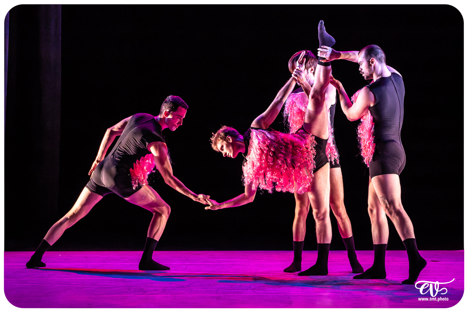 A4 (COMME LA FEUILLE) CIE CHICOS MAMBO